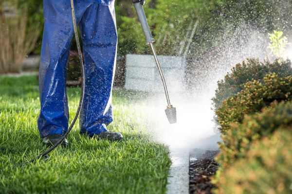 Cost of Curb Cleaning in Dothan