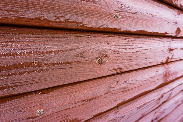 Cost of Cedar Siding Cleaning in Dothan