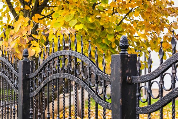 Cost of Wrought Iron Fence Washing in Dothan