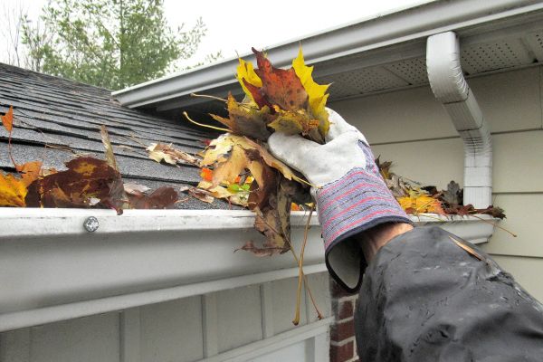 Cost of Eaves Cleaning in Dothan