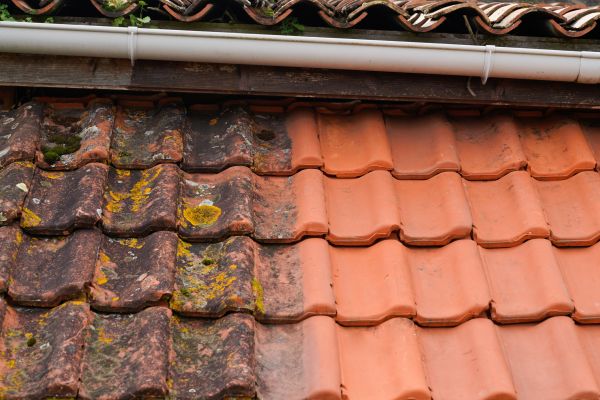 Industrial Roof Cleaning in Dothan